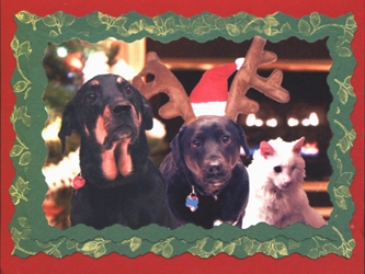 Reindeer School