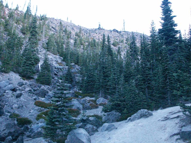 01_trail_below_treeline