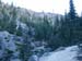 01_trail_below_treeline